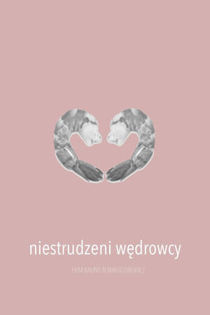 Niestrudzeni wędrowcy poster