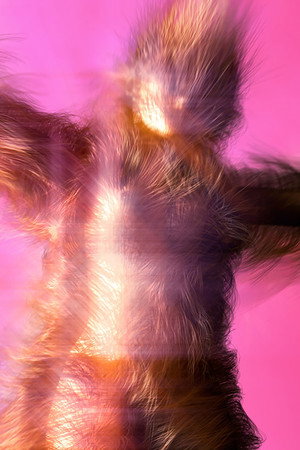 Sway poster