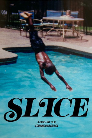 Slice poster