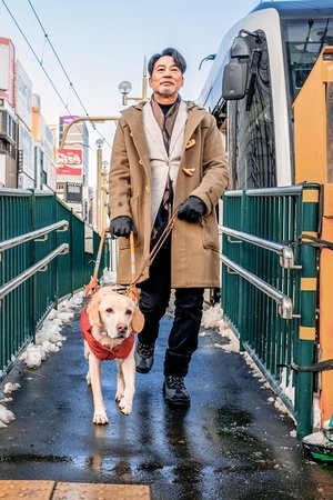 Little Q (Pequeña Q)