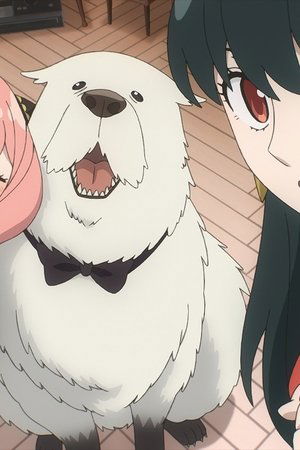 Spy x Family Código: Blanco