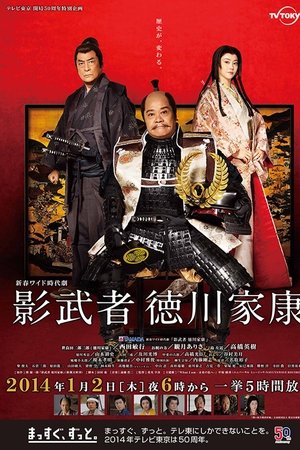 Shadow Warrior Tokugawa Ieyasu