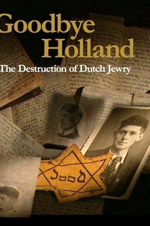 Goodbye Holland: The Destruction of Dutch Jewry poster