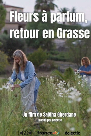 Fleurs à parfum, retour en Grasse Fleurs à parfum, retour en Grasse