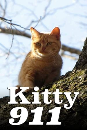 Kitty 911 Kitty 911