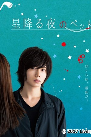 星降る夜のペット