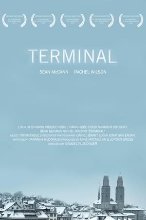 Terminal