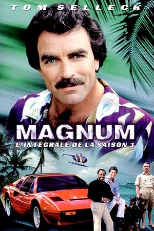 Magnum