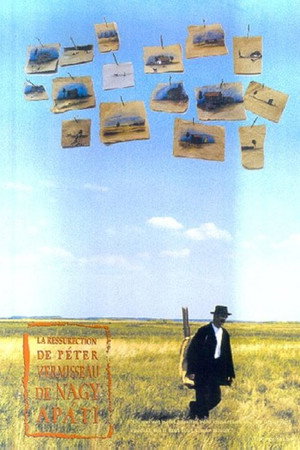 Nagyapáti Kukac Péter mennybemenetele poster