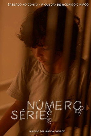 Número e Série poster