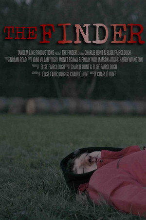 The Finder poster