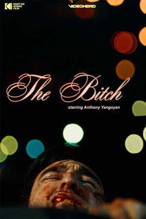 The Bitch