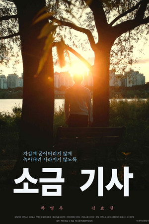 소금 기사 소금 기사