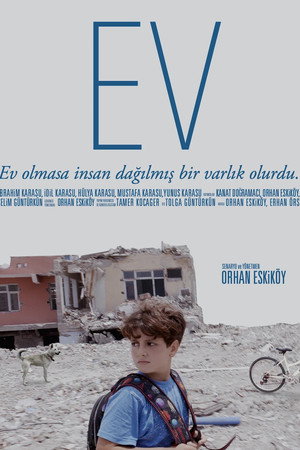 House poster