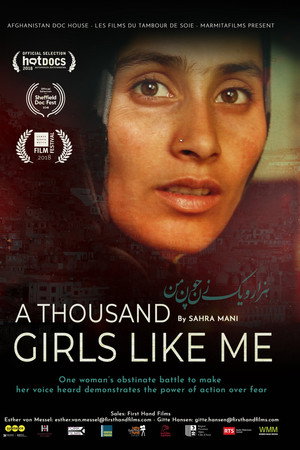 A Thousand Girls Like Me poster