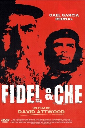 Fidel