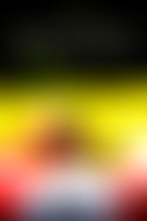 A Vida de um Campeão