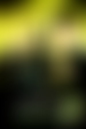 Harry Potter och dödsrelikerna, del 1