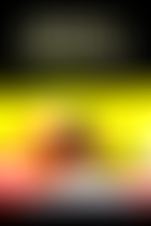 Enzo und die wundersame Welt der Menschen