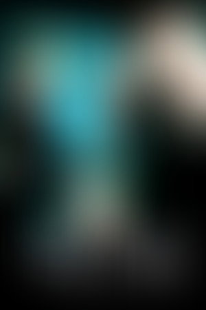 הארי פוטר ומסדר עוף החול