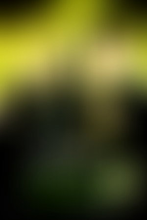 Haris Poteris ir Mirties relikvijos: 1 dalis