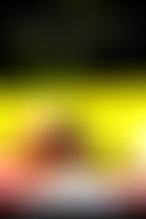 L'art de courir sous la pluie