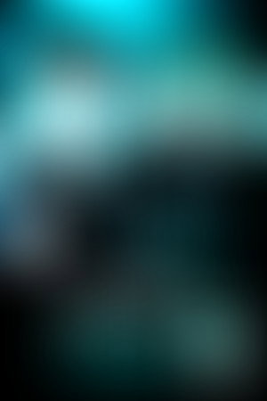 Harry Potter e l'ordine della fenice