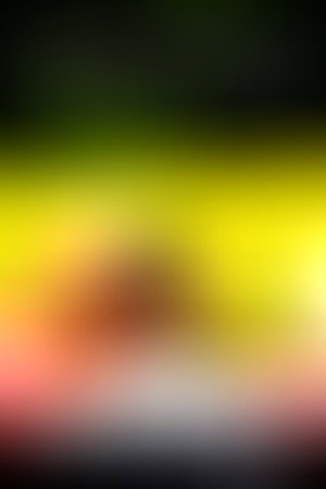 Cuoc doi Phi thuong cua Chu cho Enzo