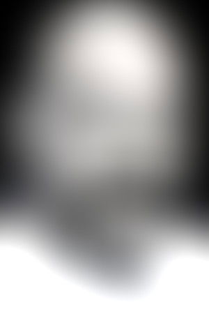 Nils Allen Stewart — The Movie Database (TMDb)