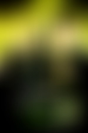 Harry Potter e i Doni della Morte - Parte 1