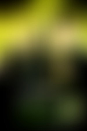 Harry Potter és a Halál ereklyéi 1. rész