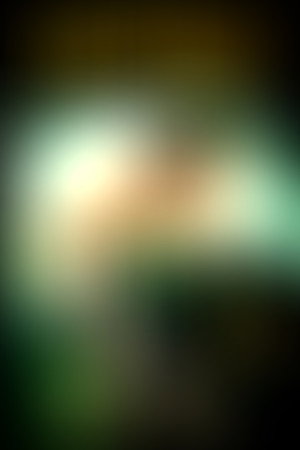 Harry Potter and the Chamber of Secrets