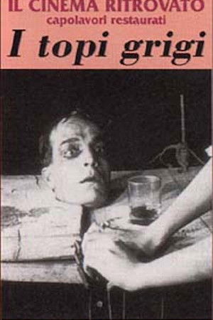 I topi grigi