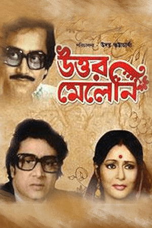 উত্তর মেলেনি