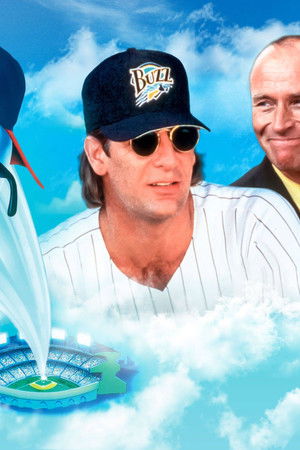 Çılgın Beyzbolcular 3