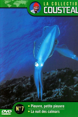 La collection Cousteau N°7 | Pieuvre, petite pieuvre | La nuit des calmars