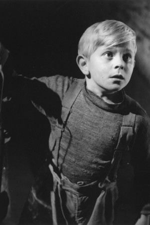 The Boy and the Bridge