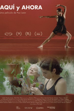 Aquí y ahora