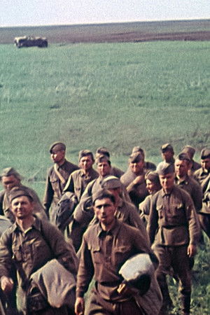 Opération Barbarossa : Au cœur des ténèbres