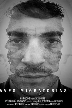 Aves migratorias