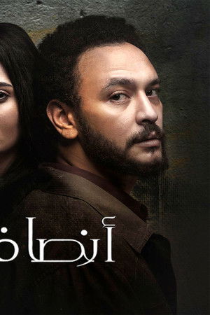 أنصاف مجانين