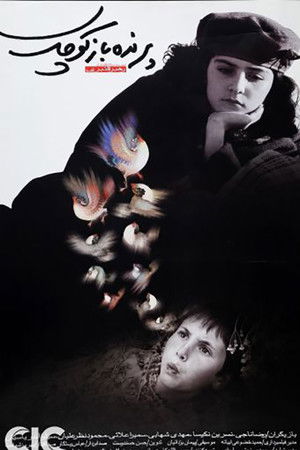 پرنده‌باز کوچک