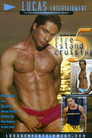 Fire Island Cruising 5