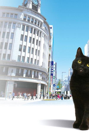 銀座黒猫物語