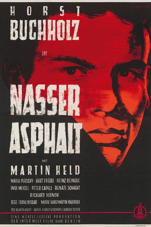 Nasser Asphalt