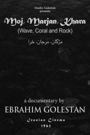 موج و مرجان و خارا