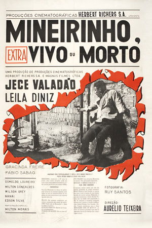 Mineirinho, Vivo ou Morto