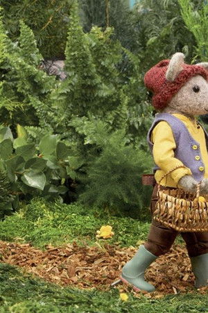 Scout & The Gumboot Kids