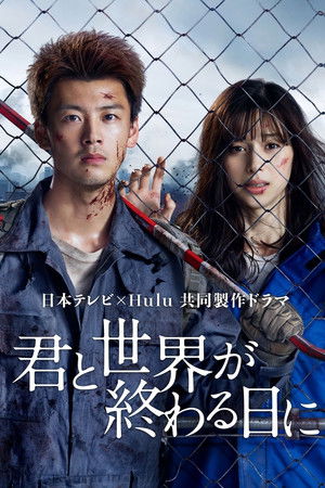 君と世界が終わる日に