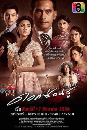 ดอกซ่อนชู้